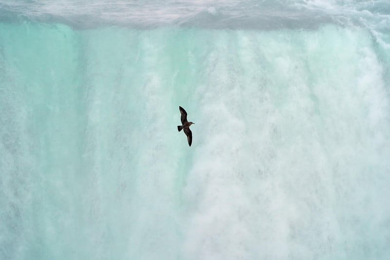 Waterfall Realms