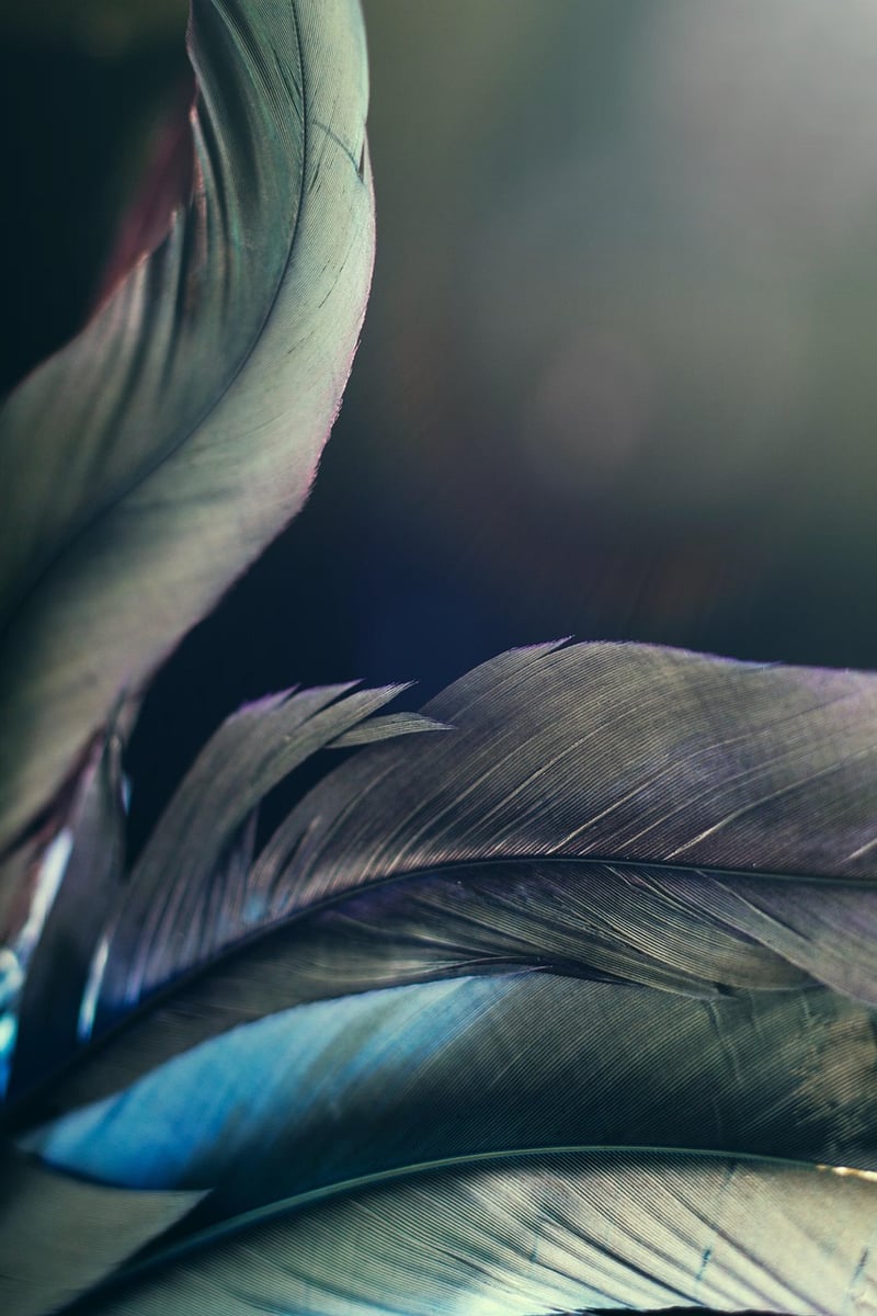 Fantasy Garden