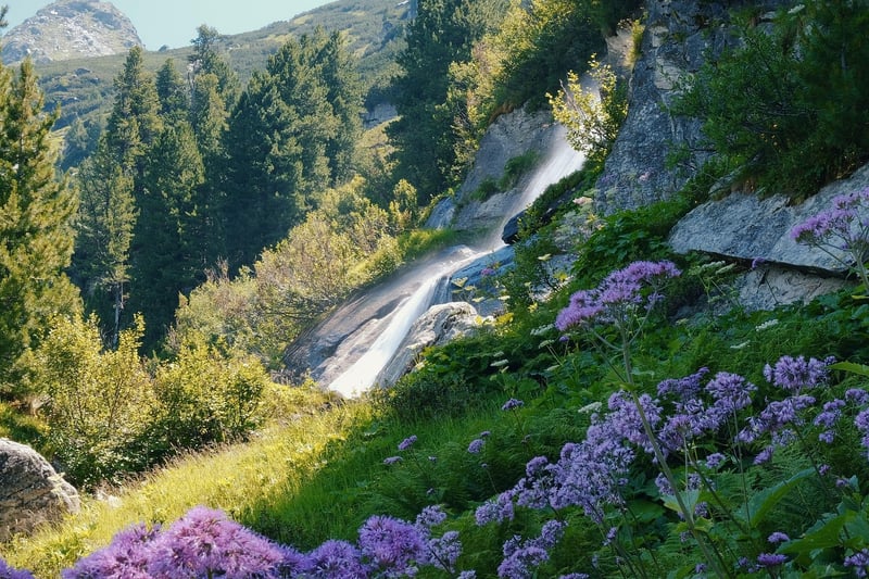 Magical Water Feature