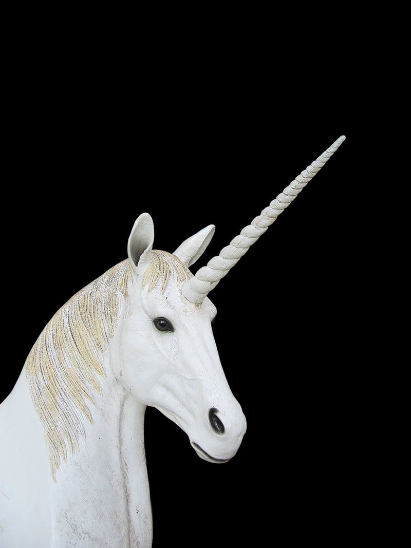 Unicorn in a meadow